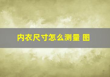 内衣尺寸怎么测量 图